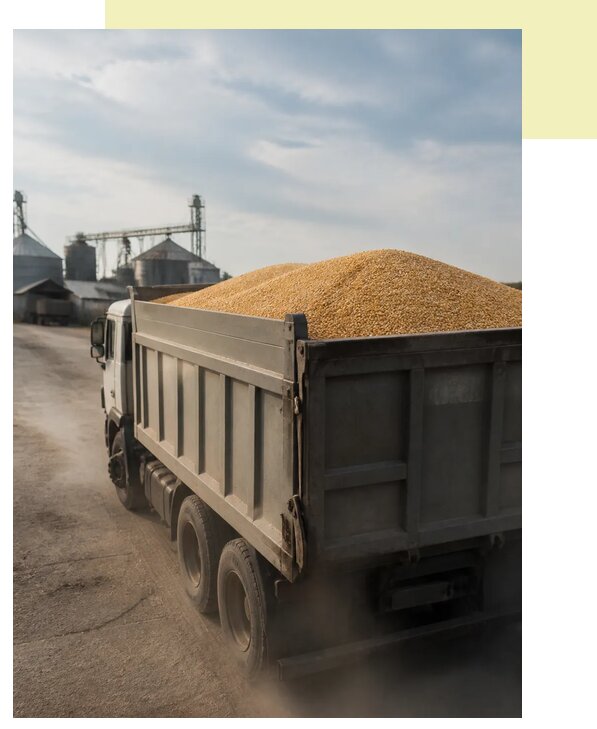 Перевозка сельхозпродукции навалом в Ржев по цене от 3084 р. | Агросервис-Ржв